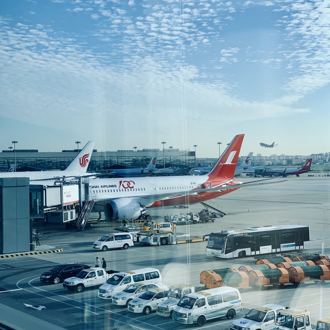 ϺB787-9 ׺Report
