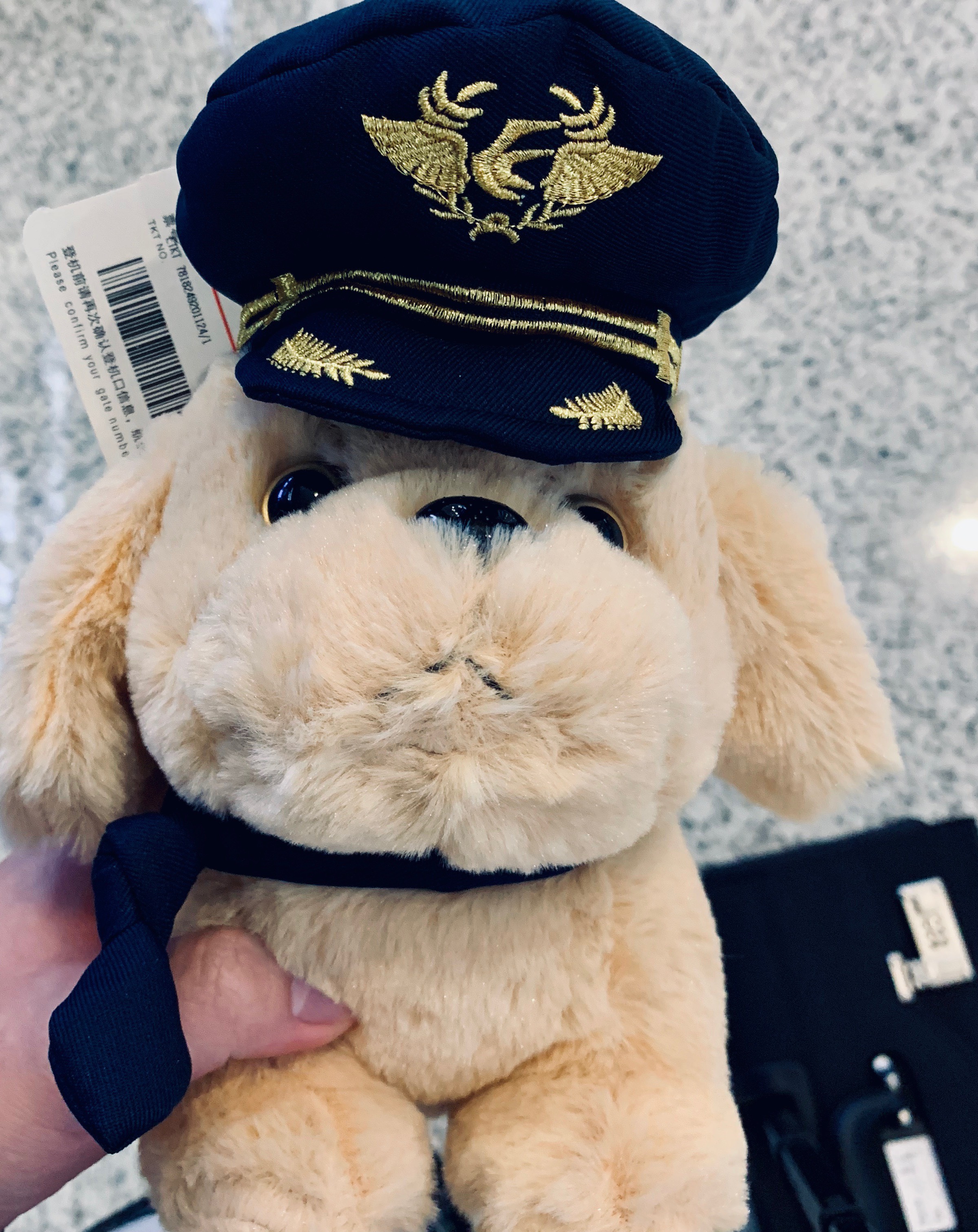 ϺB787-9 ׺Report