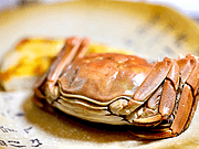 <em>ڸ</em>Ƶвз