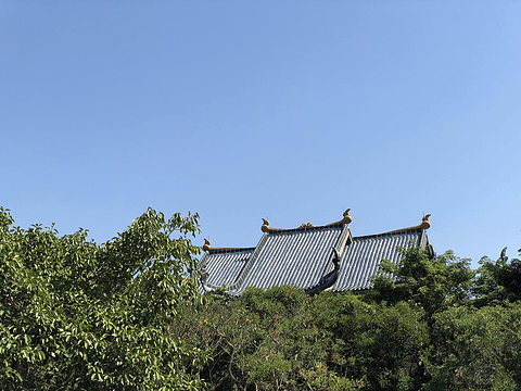 另类佛性-惠州洲际度假酒店入住报告