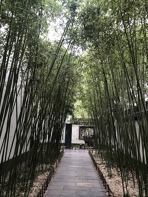 南京金陵饭店—老楼新楼对比体验
