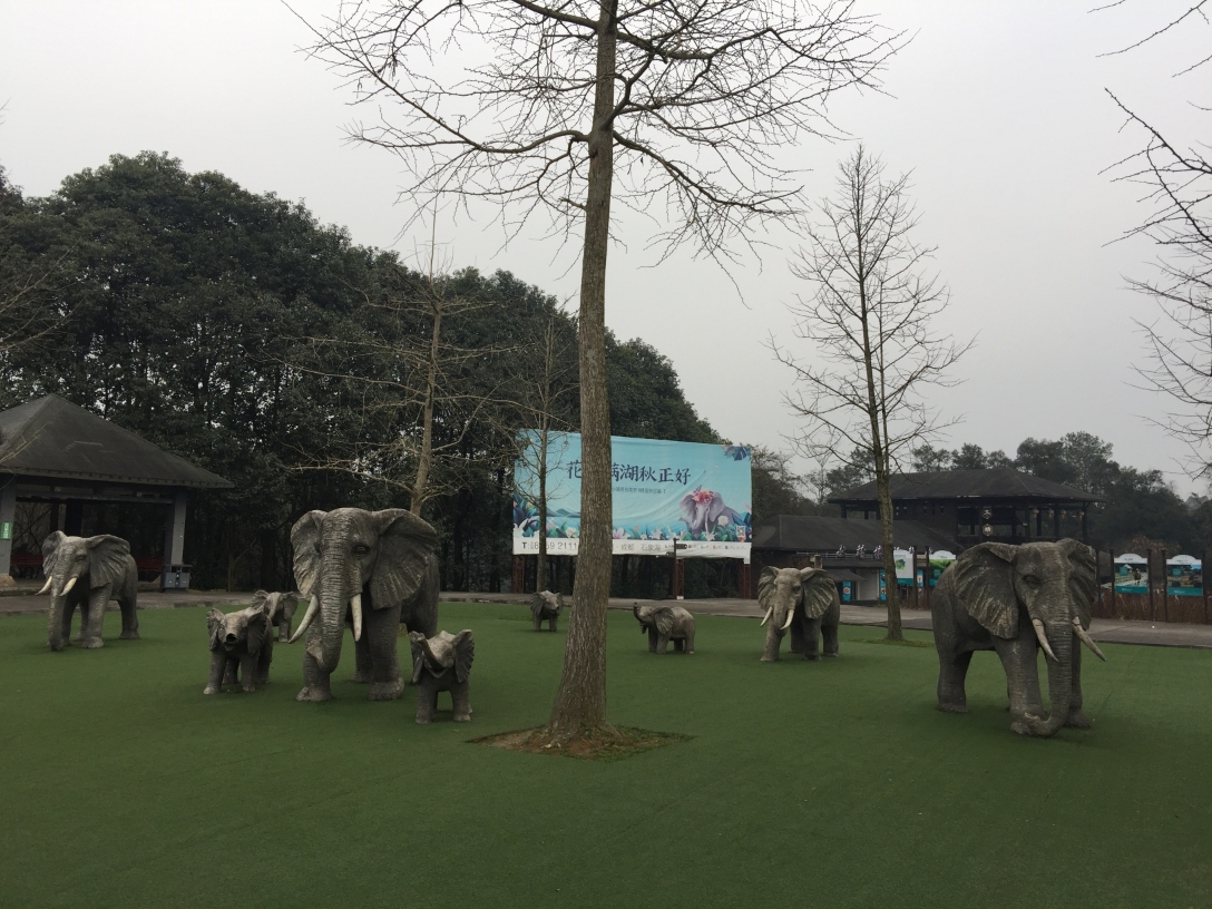 2018.12.3020190101ɶʯ
