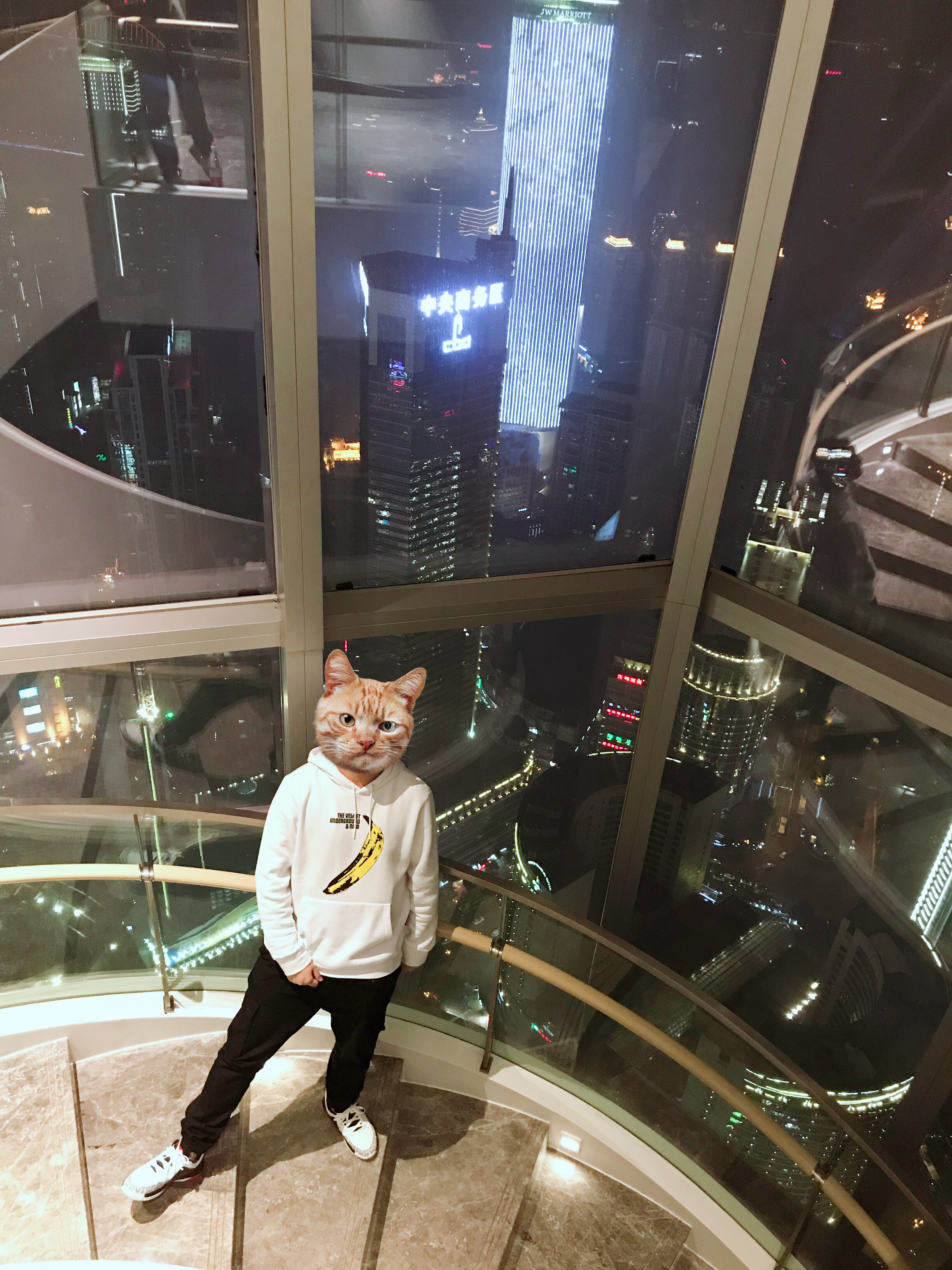 ϣپƵ