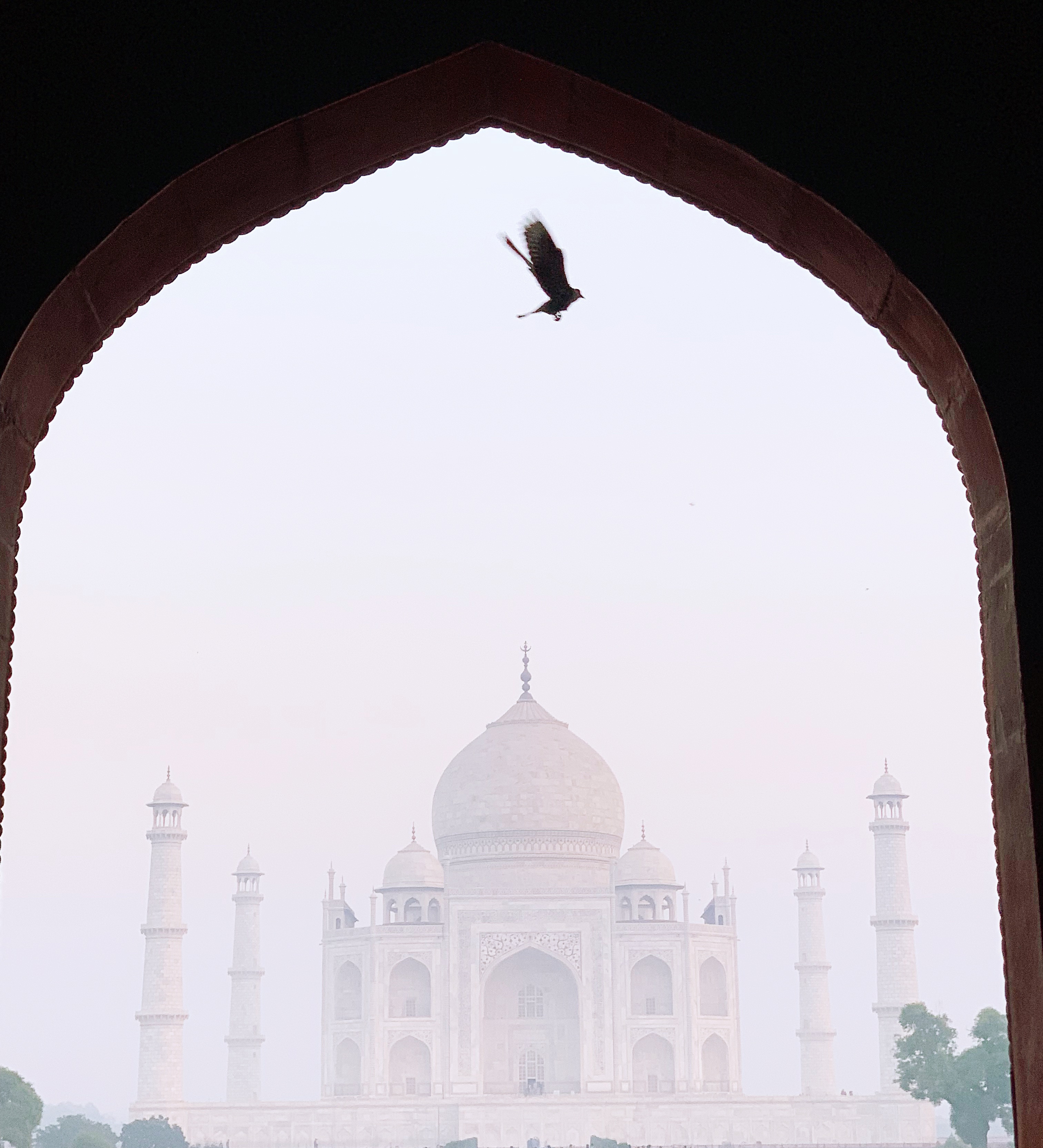 Oberoi AmarvilasֵTLȫ11