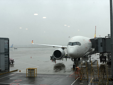番茄炒蛋出锅前体验海航a350
PEK-SHA