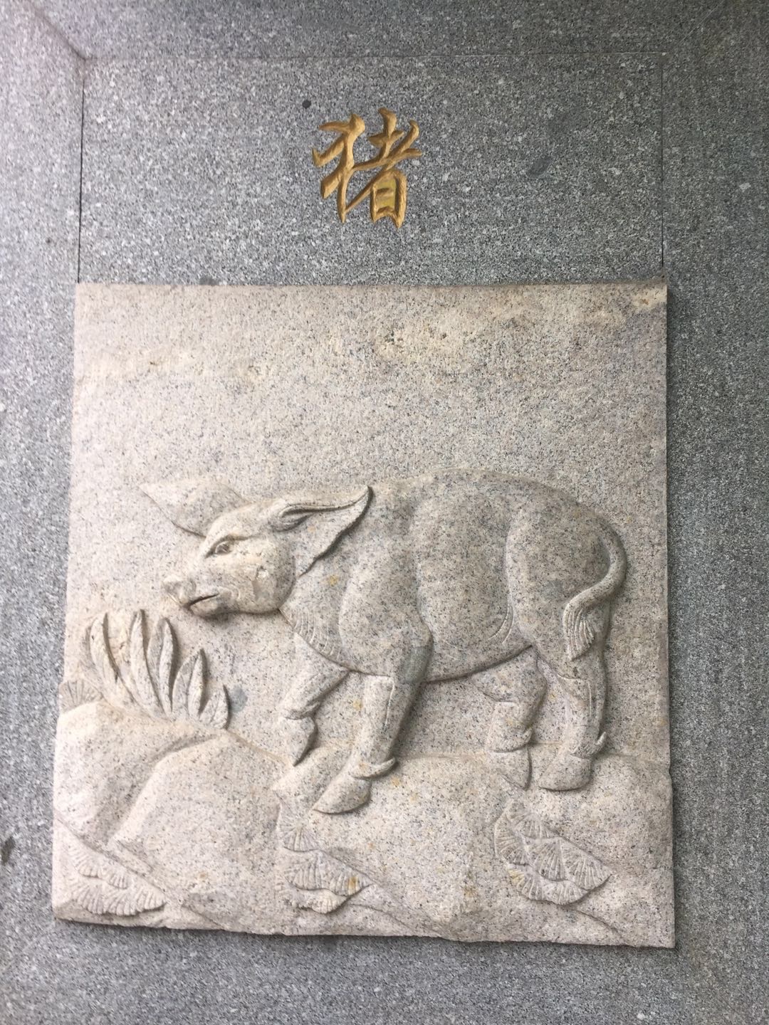 ޷շ塪׷2018һѩó
