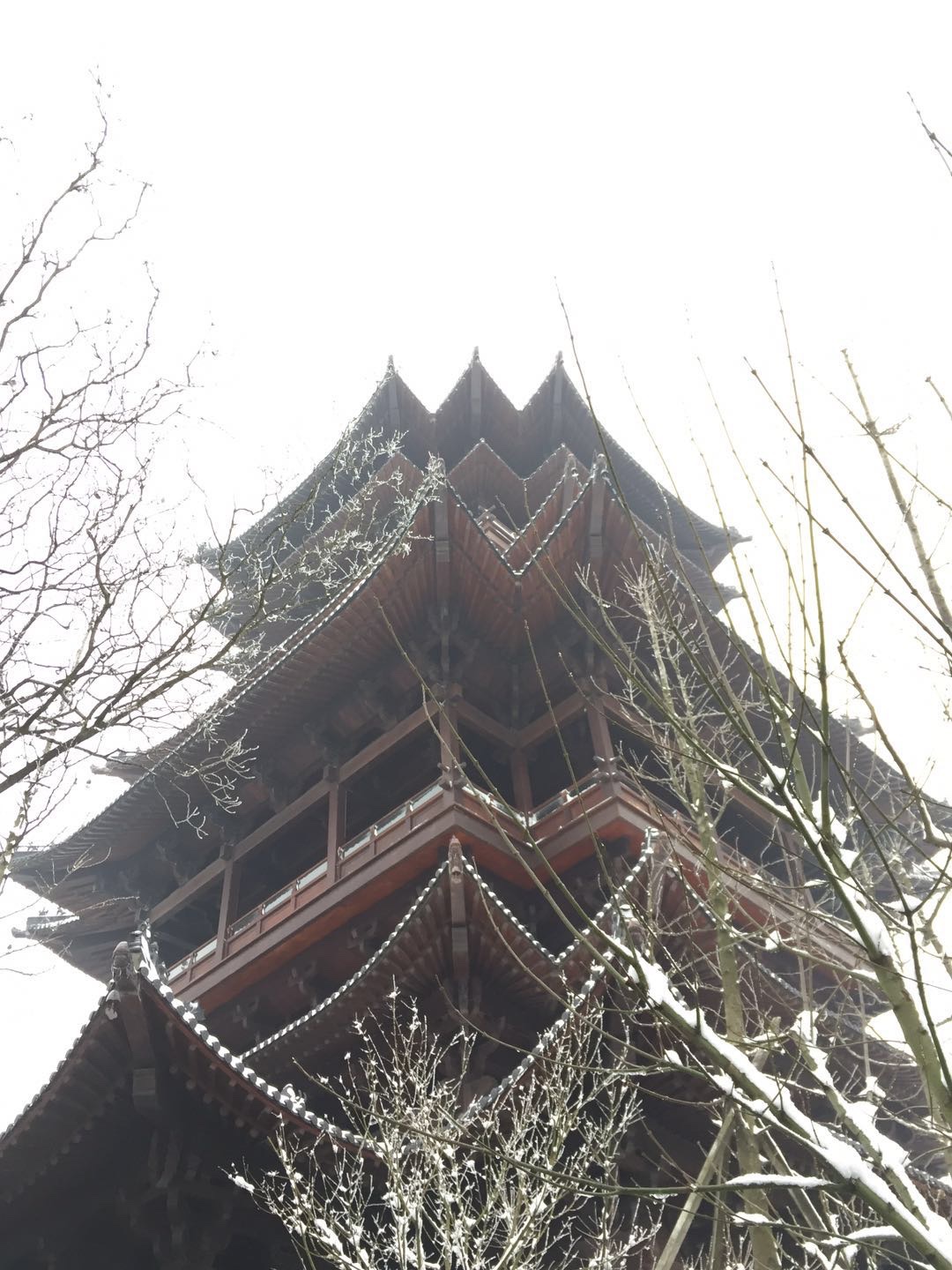 ޷շ塪׷2018һѩó
