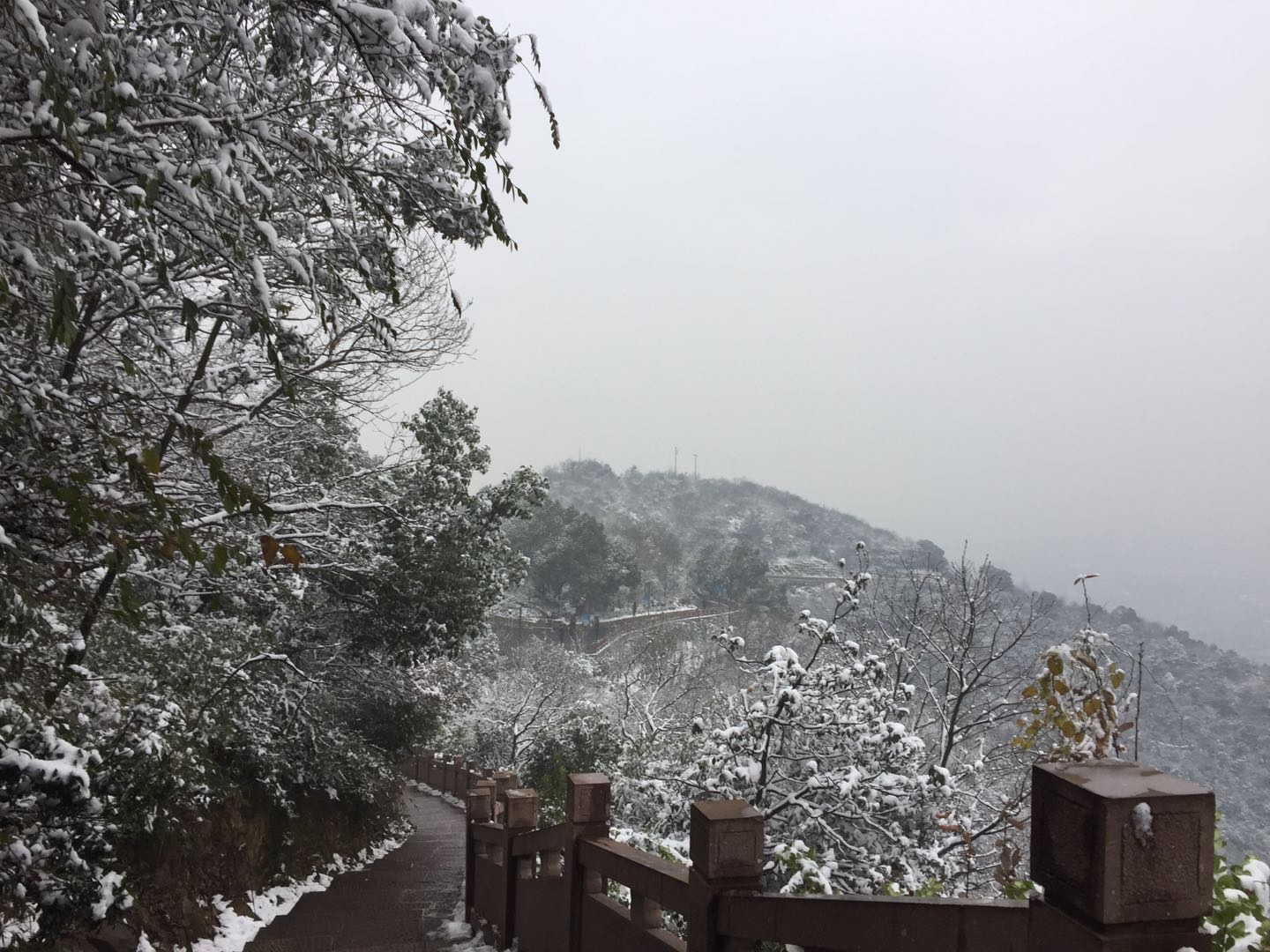 ޷շ塪׷2018һѩó