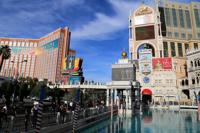 Nevada--Las Vegas The Venetian Las Vegas Exterior Daytime (10).JPG