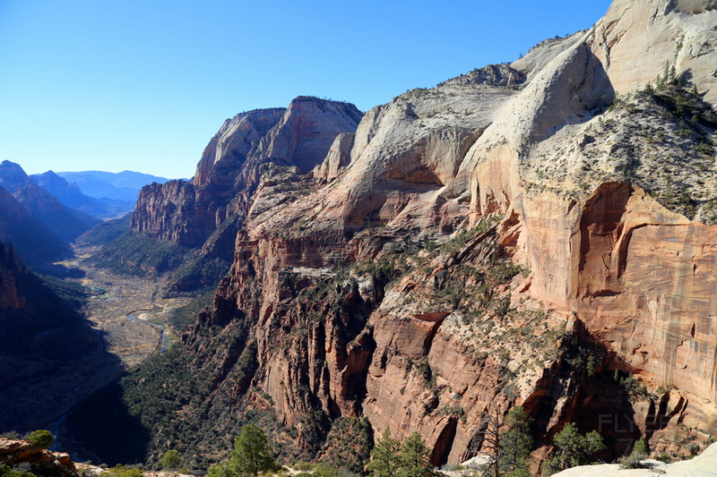 Utah--Zion National Park Angeles Landing Trail (22).JPG