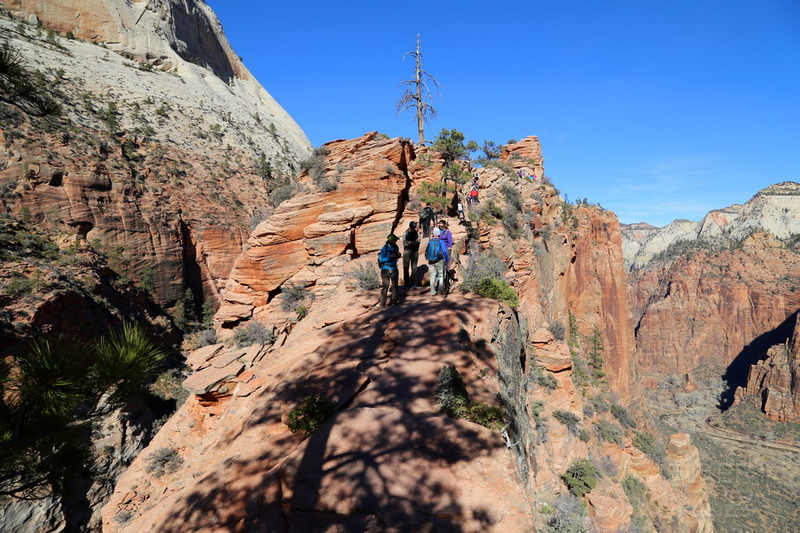 Utah--Zion National Park Angeles Landing Trail (41).JPG