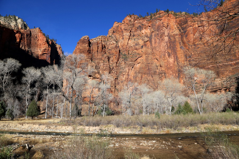 Utah--Zion National Park Zion Canyon (7).JPG