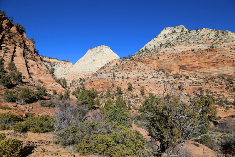 Utah--Zion National Park Zion Canyon (24).JPG