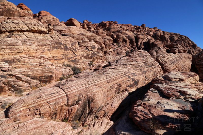 Nevada--Red Rock Canyon National Conservation Area (7).JPG