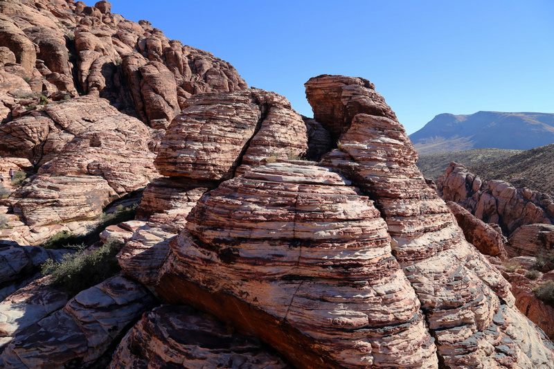 Nevada--Red Rock Canyon National Conservation Area (11).JPG