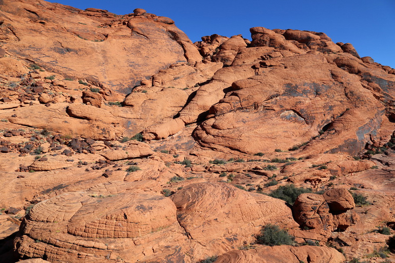 Nevada--Red Rock Canyon National Conservation Area (20).JPG