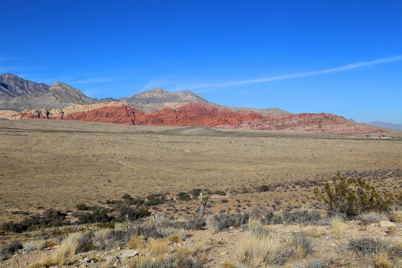 Nevada--Red Rock Canyon National Conservation Area (29).JPG