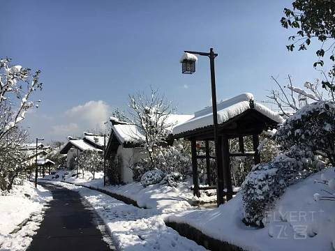 杭州天域开元，探梅等雪玩转古韵新潮