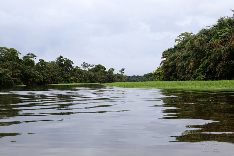 Tortuguero National Park (10).JPG