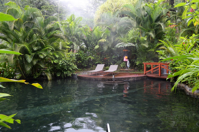 La Fortuna--Tabacon Thermal Resort and SPA Hot Springs (69).JPG