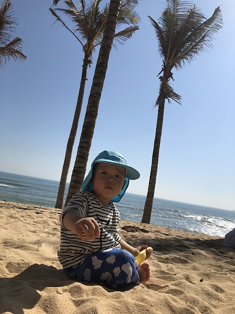微信图片_20180122104832.jpg