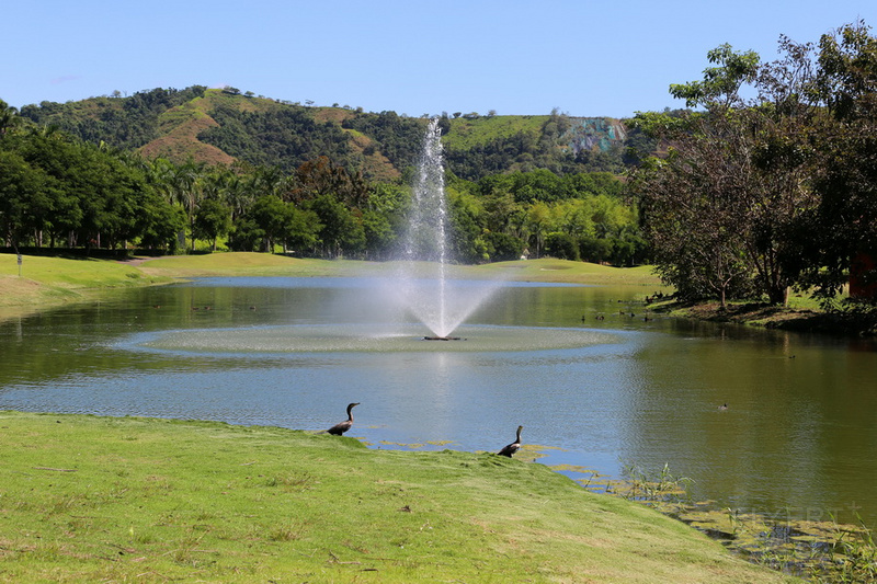 Herradura--Los Suenos Marriott Ocean and Golf Resort Golf Course (8).JPG