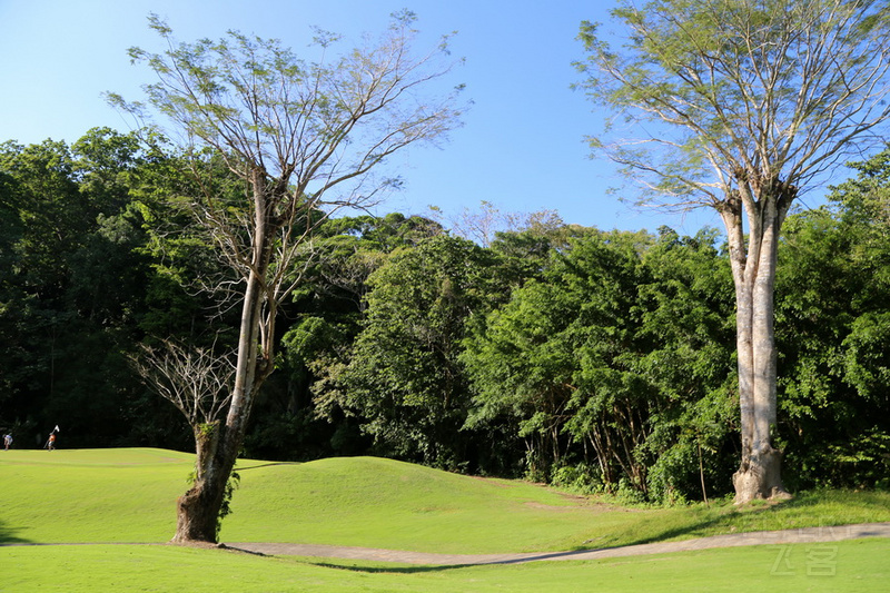 Herradura--Los Suenos Marriott Ocean and Golf Resort Golf Course (24).JPG