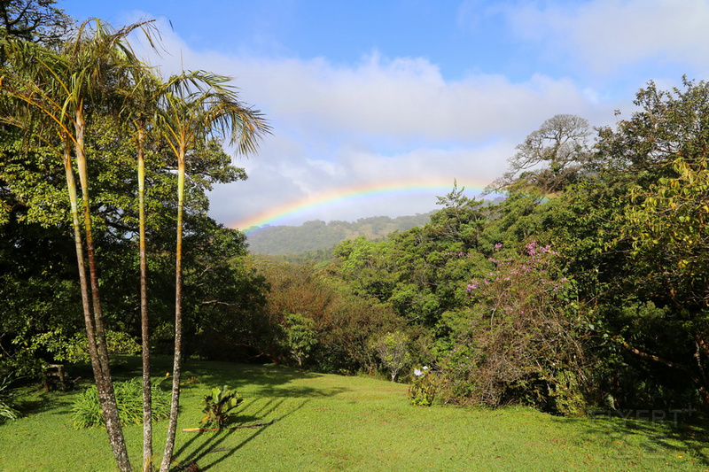 Monteverde--Sunset Hotel Garden (4).JPG