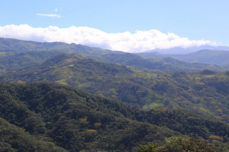 Monteverde--Cloud Forest (34).JPG