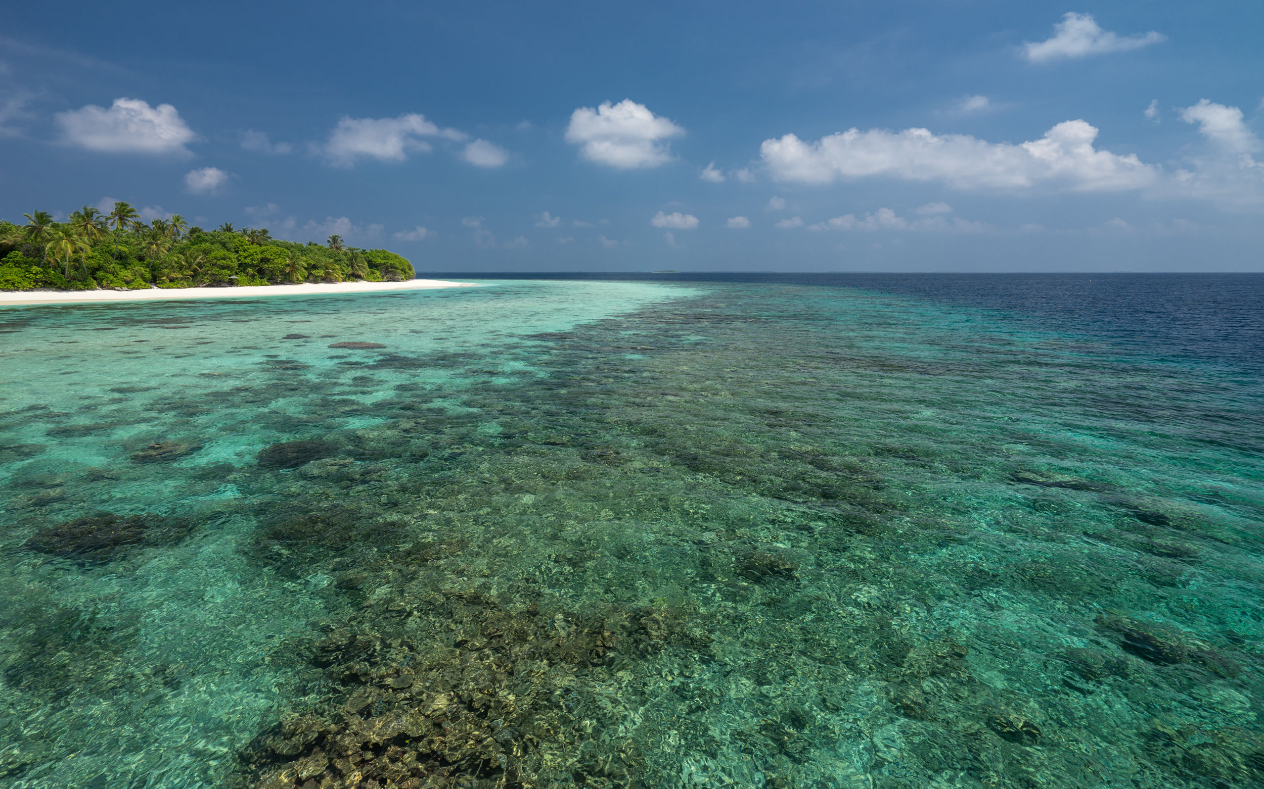 Park Hyatt Maldives Hadahaa  | Pool Villa & Water Villa