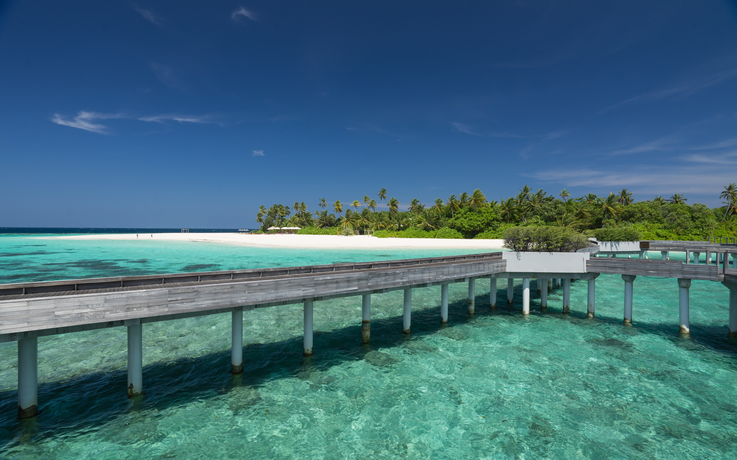 Park Hyatt Maldives Hadahaa  | Pool Villa & Water Villa