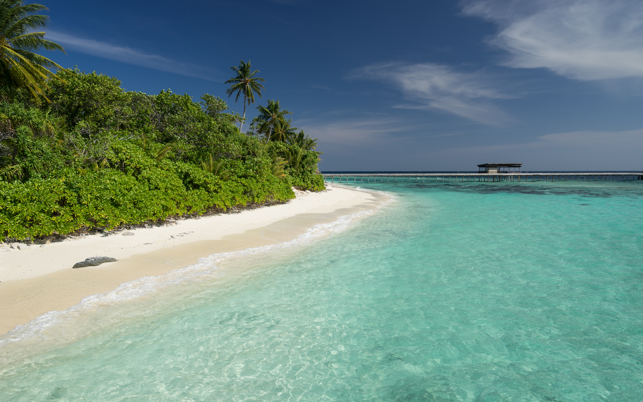 Park Hyatt Maldives Hadahaa  | Pool Villa & Water Villa