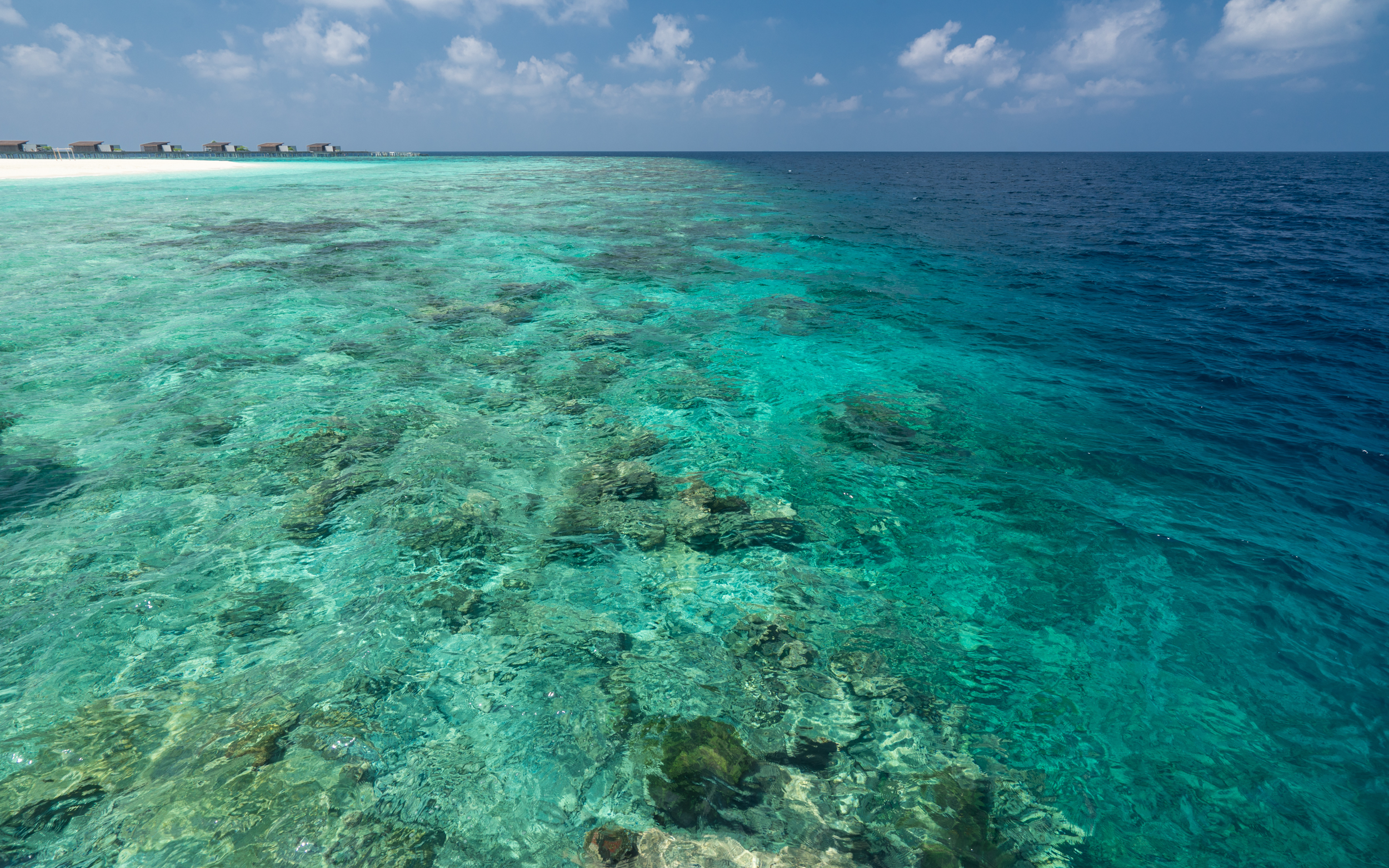 Park Hyatt Maldives Hadahaa  | Pool Villa & Water Villa