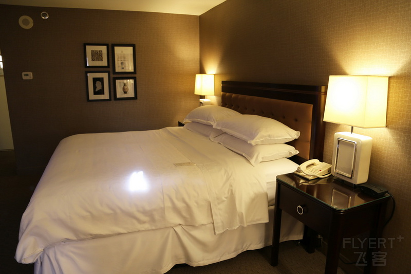Virginia--Sheraton Reston Hotel Room (1).JPG