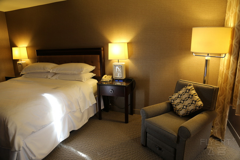 Virginia--Sheraton Reston Hotel Room (2).JPG
