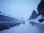 [已过期] -8.1℃，循着《情书》的足迹--暴雪中的小樽运河和升级后的札幌市中心ANA皇冠假日首报