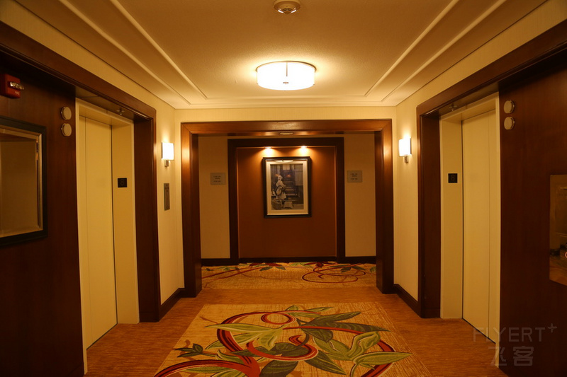 Washington Dulles Marriott Suites Hallway (1).JPG