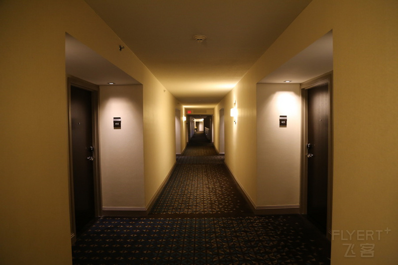 Washington DC--Hilton Mclean Tysons Corner Hallway (1).JPG