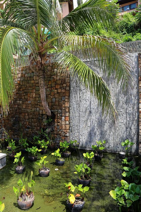 Phuket Island--The Westin Siray Bay Resort and Spa Pool and Garden (25).JPG