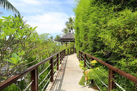Phuket Island--The Westin Siray Bay Resort and Spa Pool and Garden (26).JPG