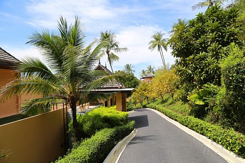 Phuket Island--The Westin Siray Bay Resort and Spa Pool and Garden (28).JPG