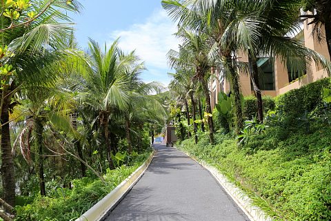 Phuket Island--The Westin Siray Bay Resort and Spa Pool and Garden (45).JPG