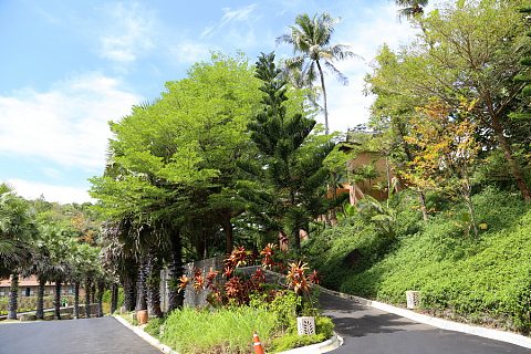 Phuket Island--The Westin Siray Bay Resort and Spa Pool and Garden (47).JPG