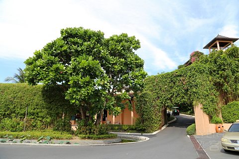 Phuket Island--The Westin Siray Bay Resort and Spa Pool and Garden (65).JPG