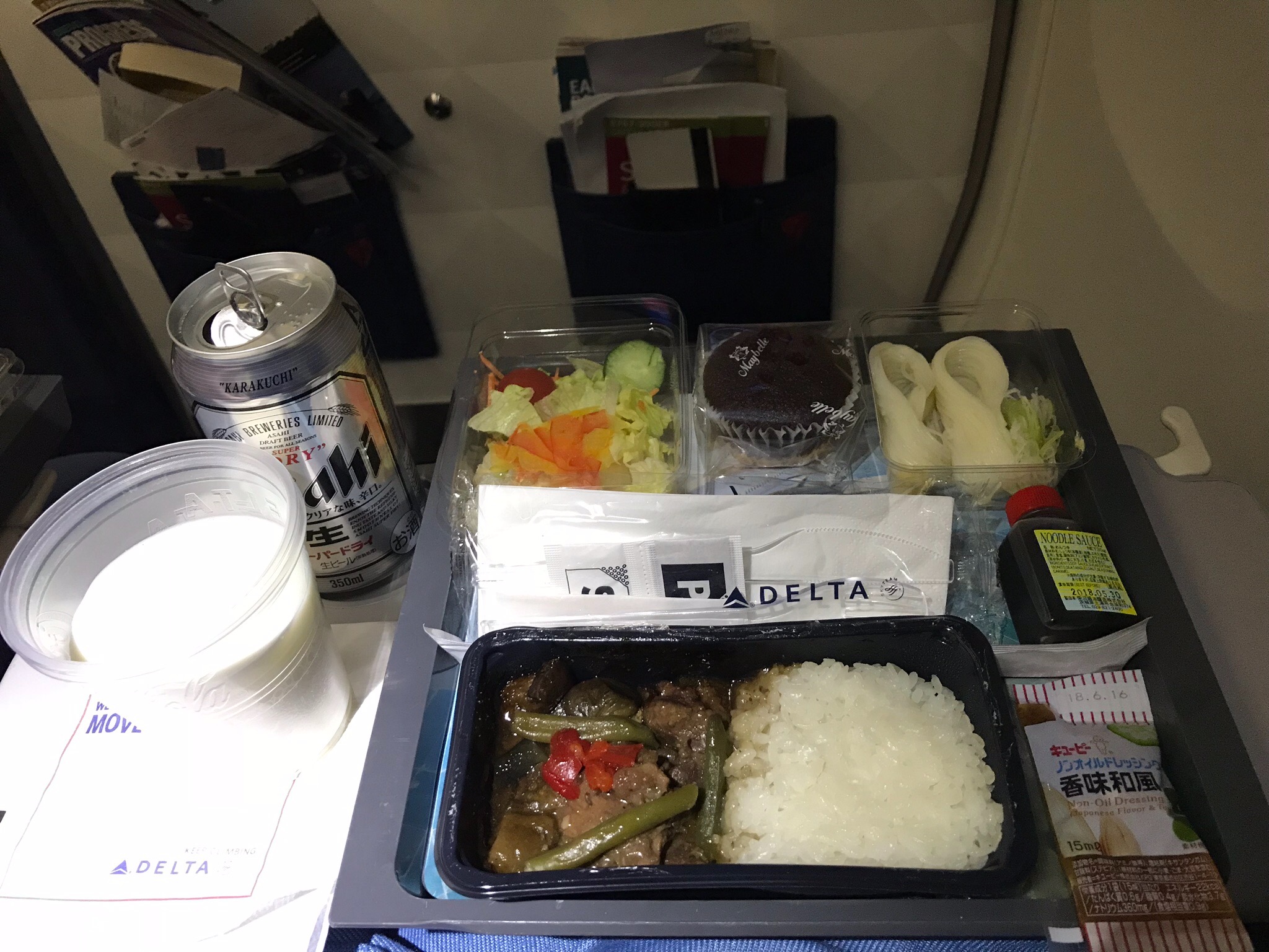 DL167 NRT-SIN -¼ B767 C+/庽Ȩ/Ѻ