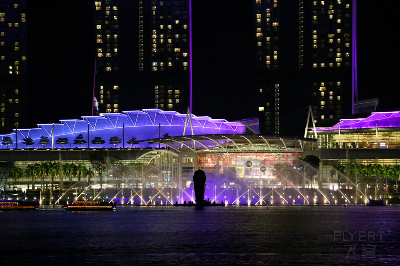 Singapore at Night (19).JPG
