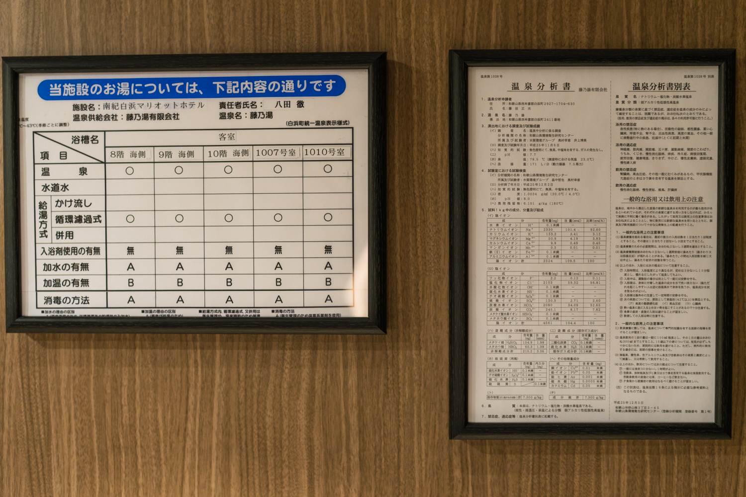 ϼͰױ (Nanki-Shirahama Marriott) Ȫ֮һİȪ