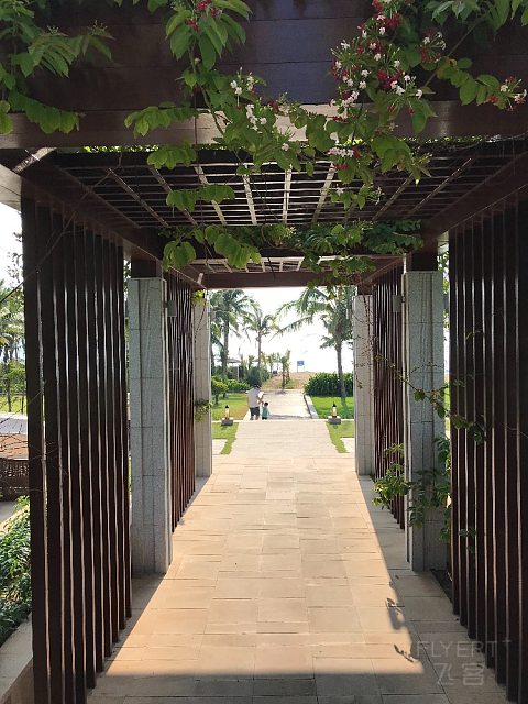 清新海棠湾三亚理文索菲特酒店五星体验