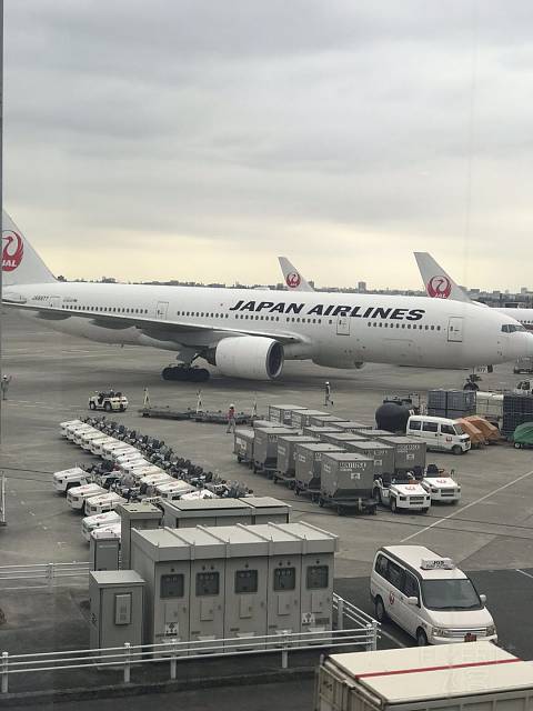 【航空】*丝学生的1000元日本航空头等体验行