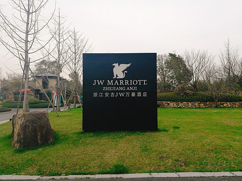 葱葱竹海 悠悠我心——浙江安吉JW万豪酒店入住体验